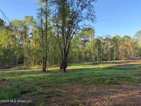 $995,000 | 186 Potluck Road, Canton, MS 39046