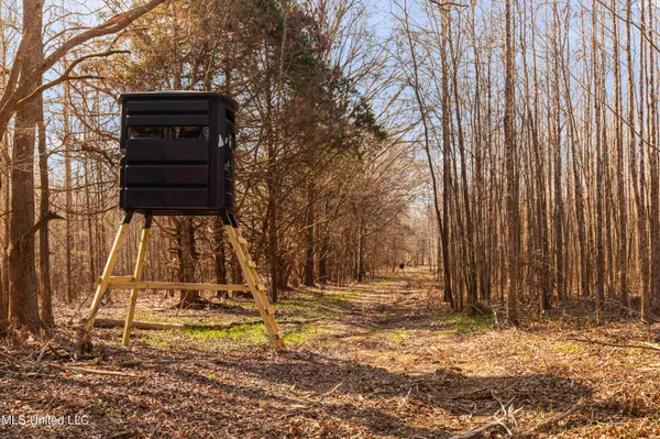 $1,025,750 | 186 Potluck Road, Canton, MS 39046