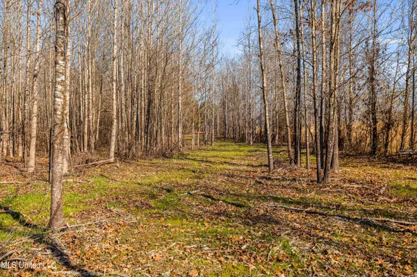 $1,025,750 | 186 Potluck Road, Canton, MS 39046