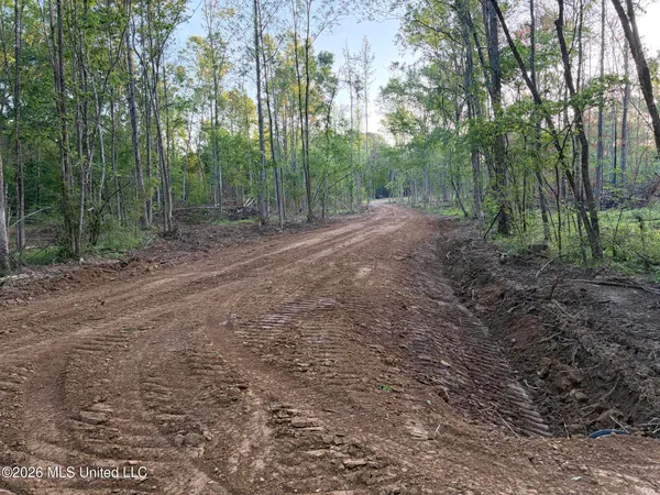 $995,000 | 186 Potluck Road, Canton, MS 39046