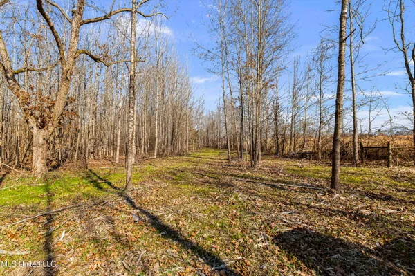 $1,025,750 | 186 Potluck Road, Canton, MS 39046