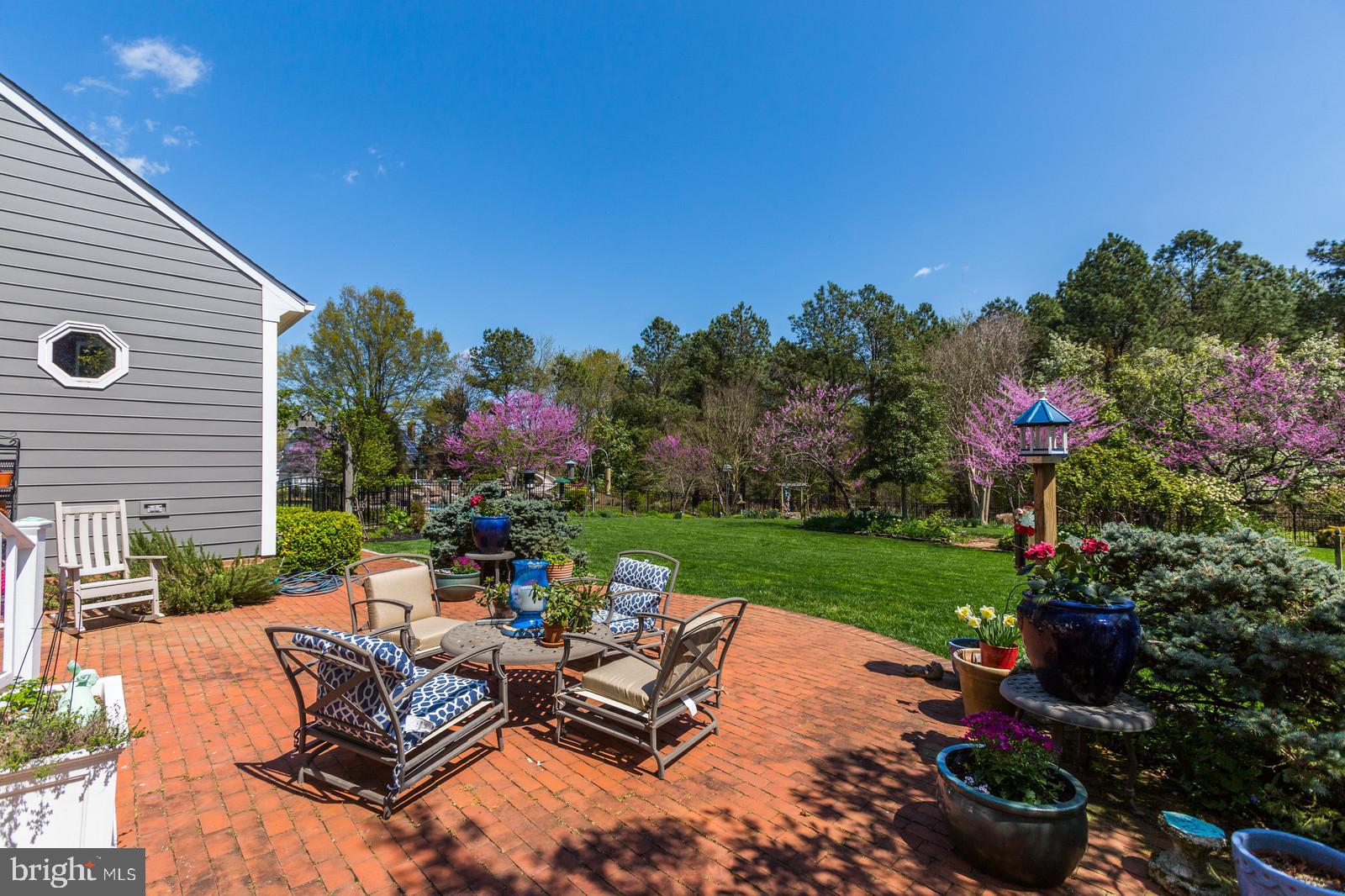 3407 Hidden River View Road Annapolis, MD 21403 - Photo 35 of 47 IN FULL BLOOM