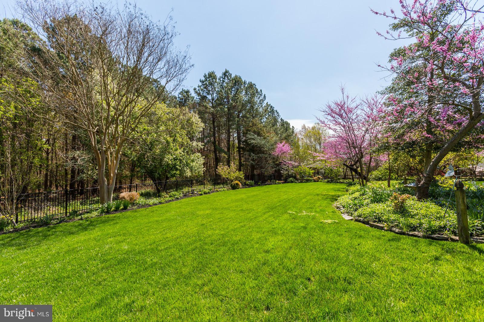 3407 Hidden River View Road Annapolis, MD 21403 - Photo 39 of 47 LUSH LAWN