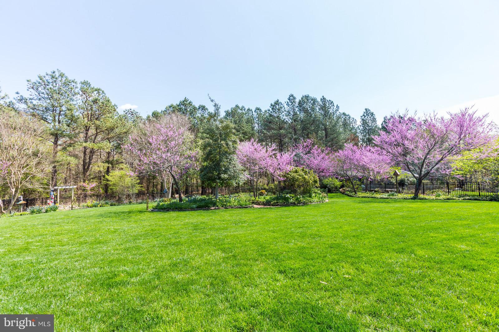 3407 Hidden River View Road Annapolis, MD 21403 - Photo 40 of 47 DO YOU LOVE THE OUTDOORS. ENJOY IT HERE