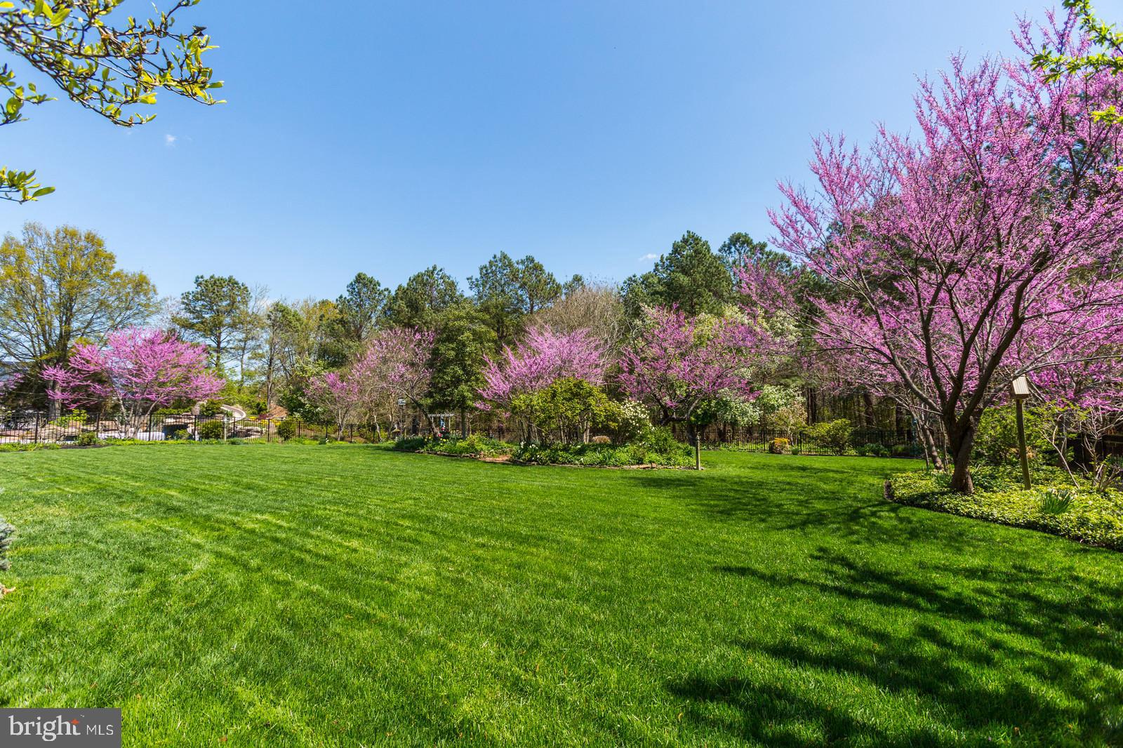 3407 Hidden River View Road Annapolis, MD 21403 - Photo 41 of 47 LOVELY VIEW OF THE BACKYARD IN FULL BLOOM