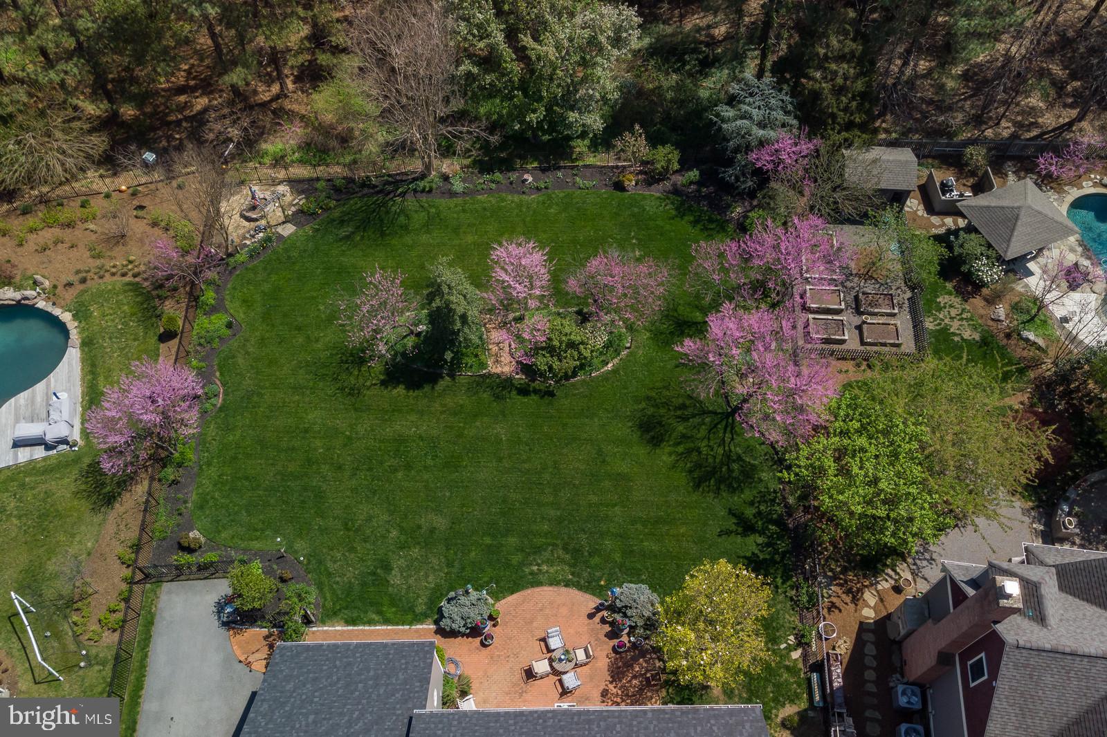 3407 Hidden River View Road Annapolis, MD 21403 - Photo 45 of 47 LUSH IN FULL BLOOM - GORGEOUS BACK LAWN