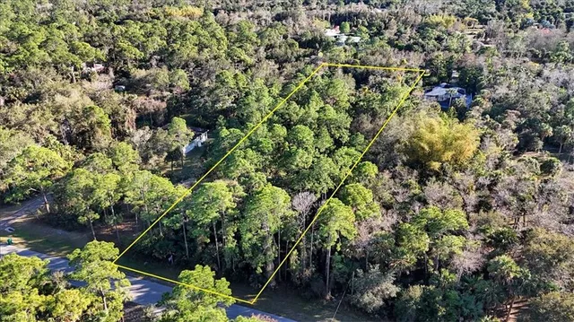 a view of a garden with plants