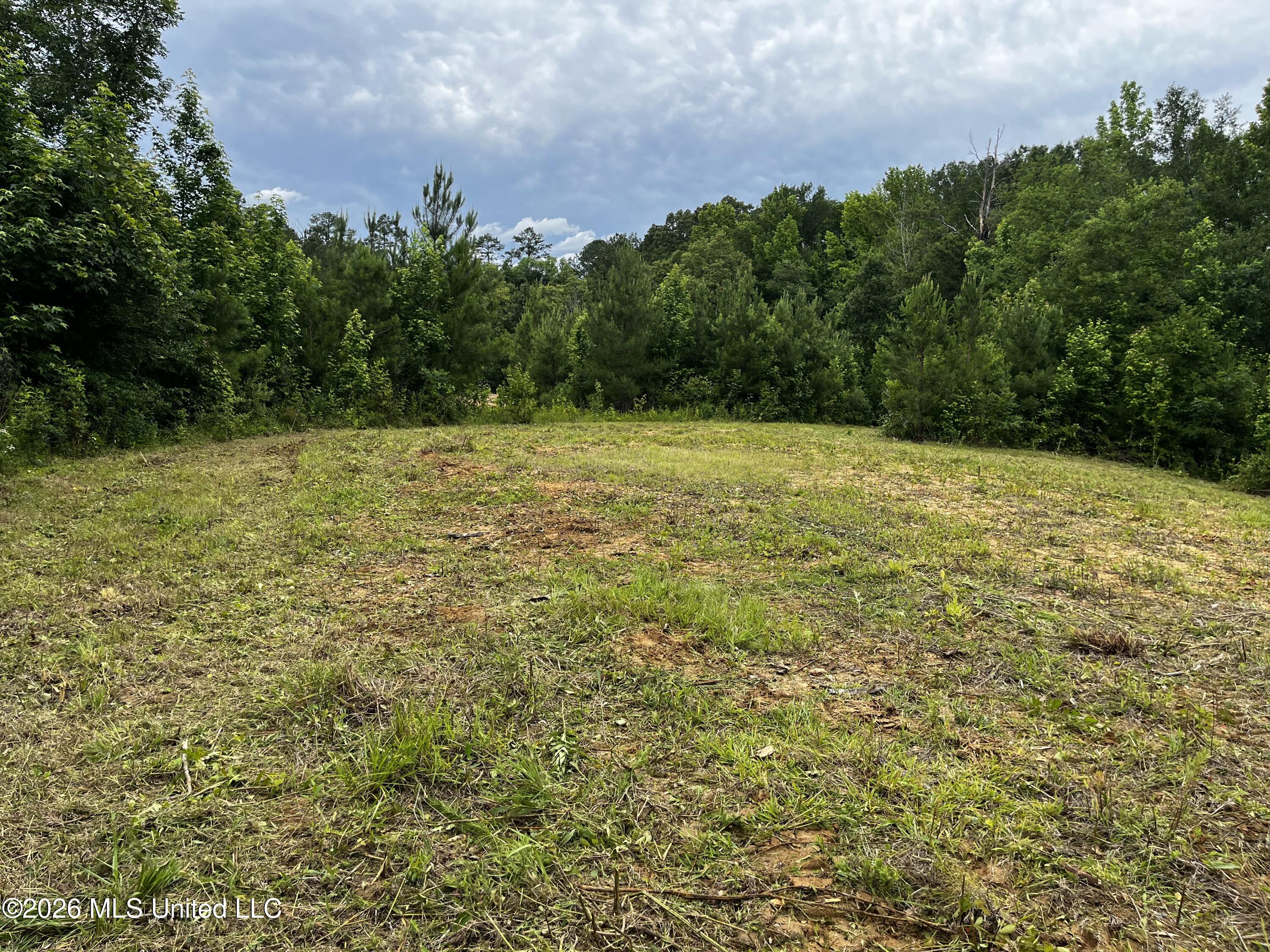 Cline Road Wesson, MS 39191 - Photo 5 of 16 IMG_1156