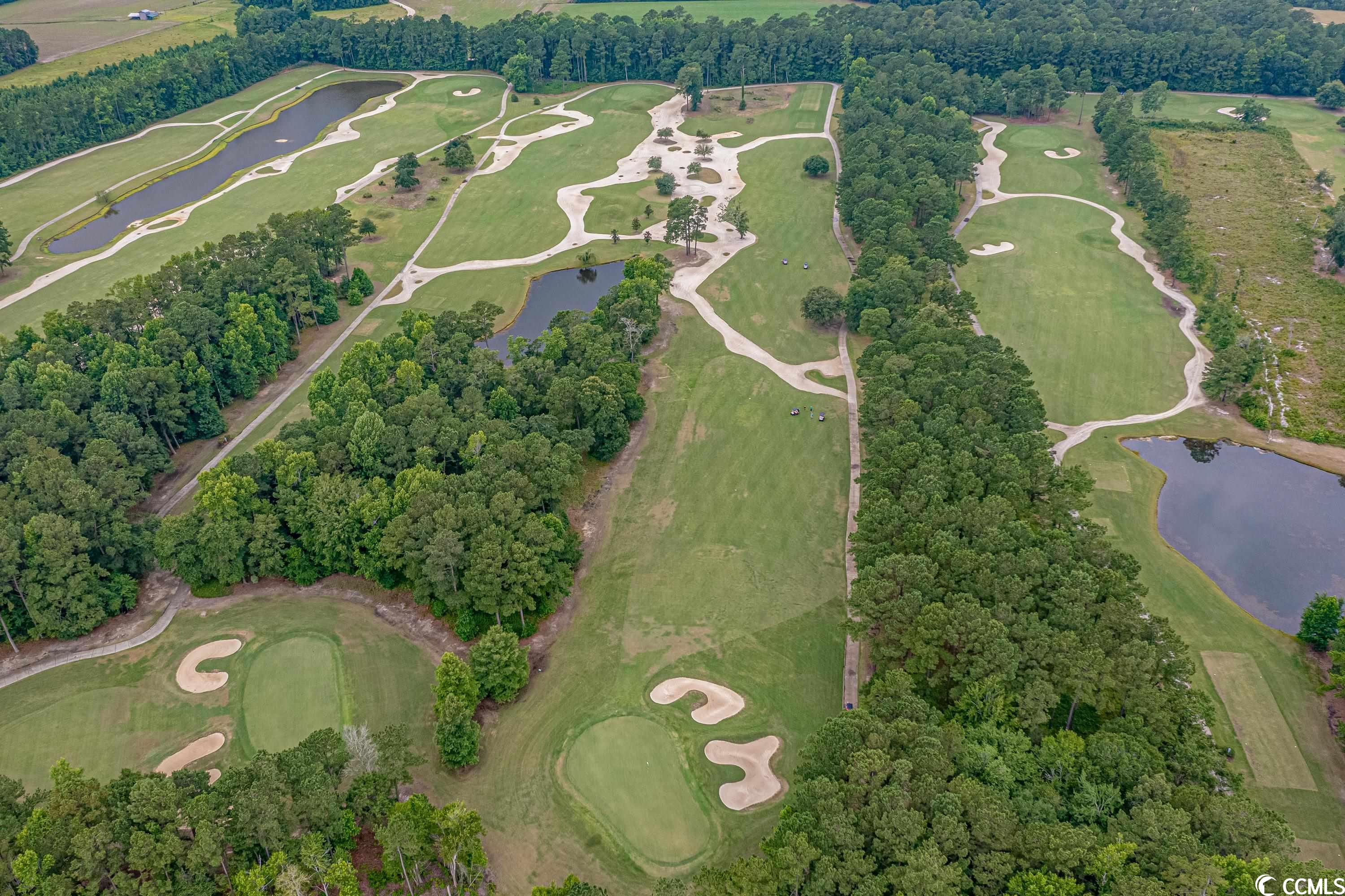 124 Kingsbury Loop, Unit D Conway, SC 29526 - Photo 33 of 37 Gallery Image 33