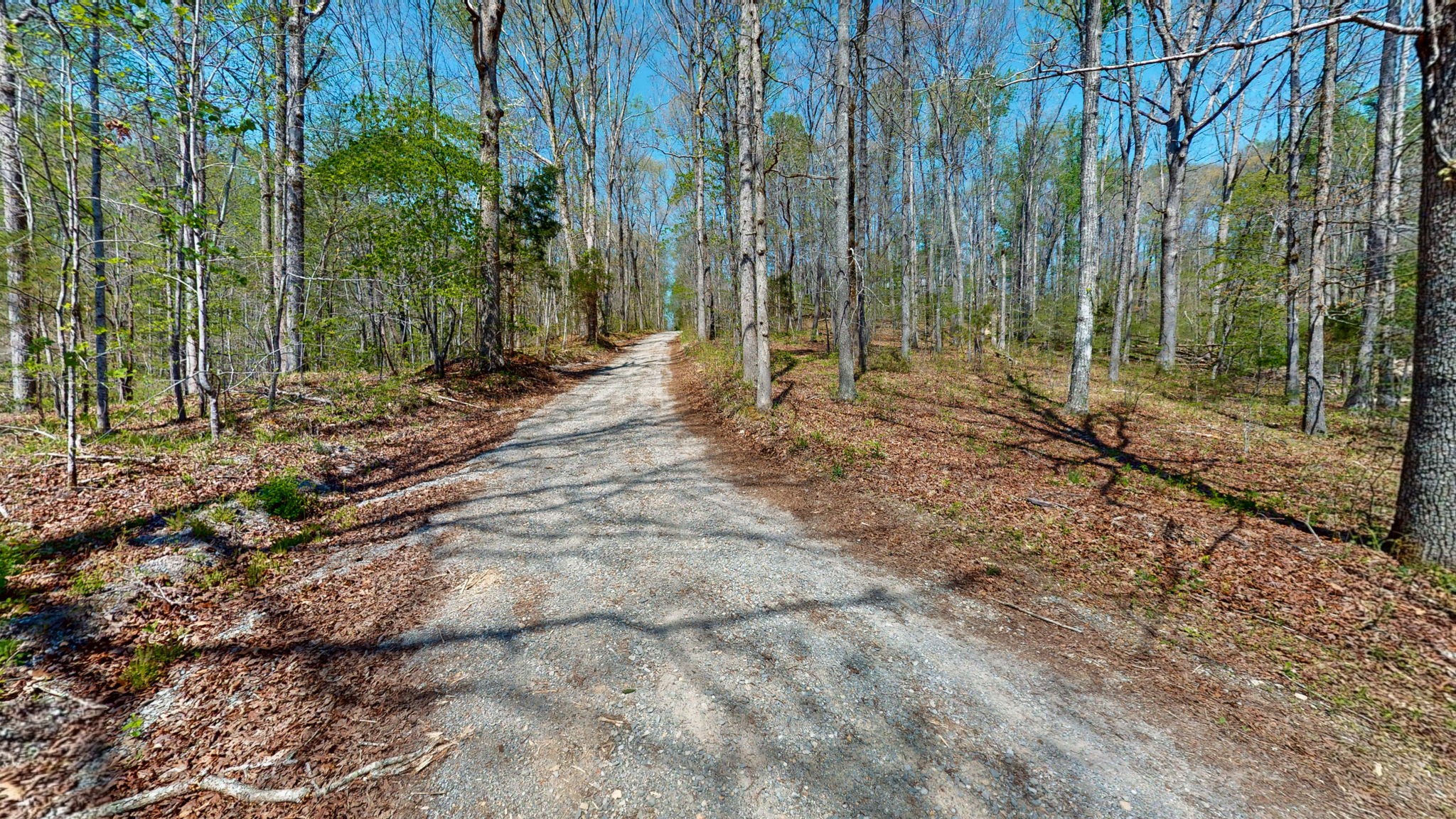 1044 Deer Ridge Road Kingston Springs, TN 37082 - Photo 12 of 37