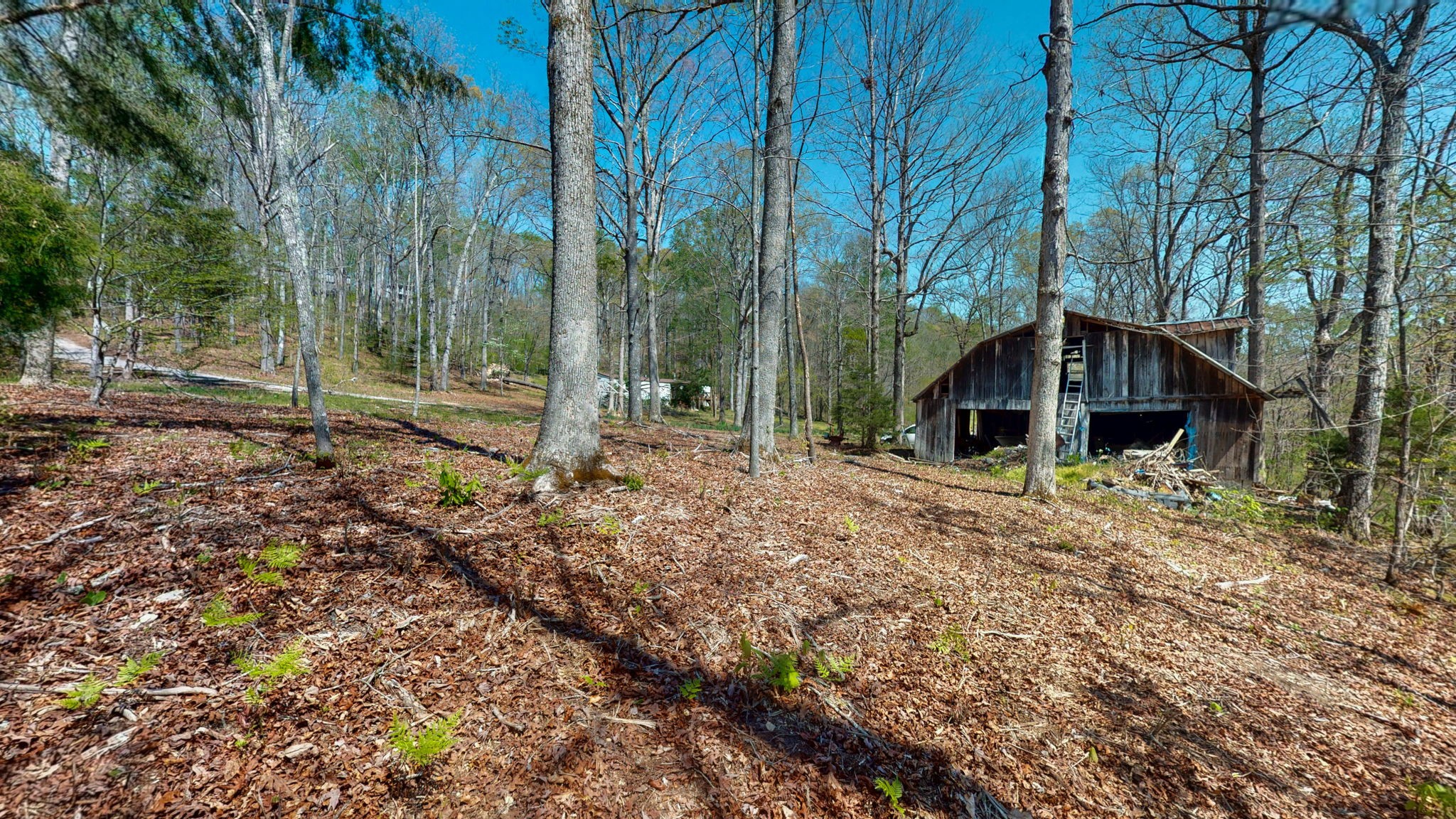 1044 Deer Ridge Road Kingston Springs, TN 37082 - Photo 18 of 37