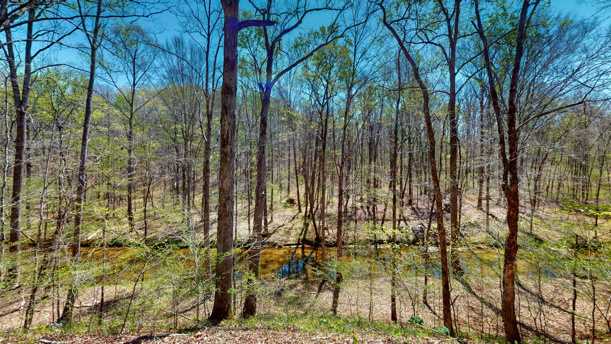 1044 Deer Ridge Road Kingston Springs, TN 37082 - Photo 19 of 37