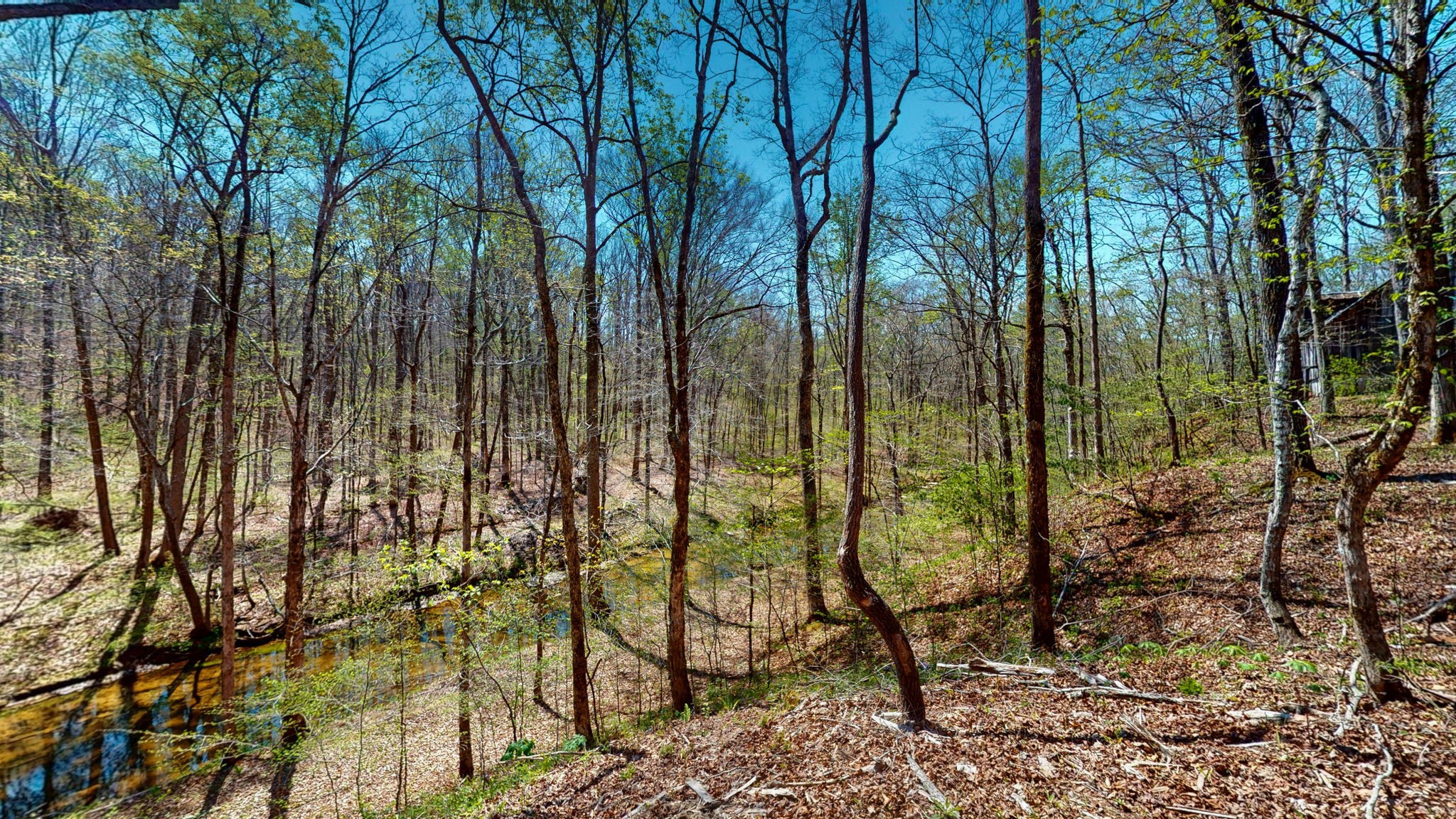 1044 Deer Ridge Road Kingston Springs, TN 37082 - Photo 20 of 37