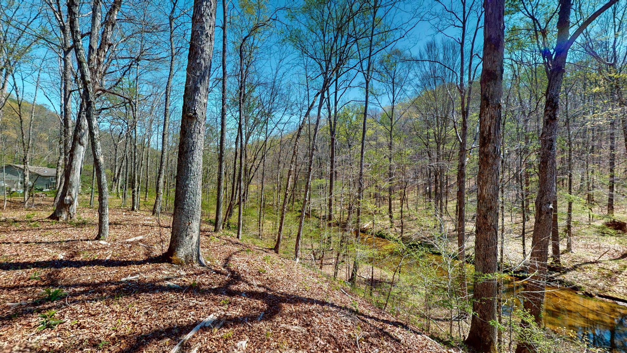 1044 Deer Ridge Road Kingston Springs, TN 37082 - Photo 22 of 37