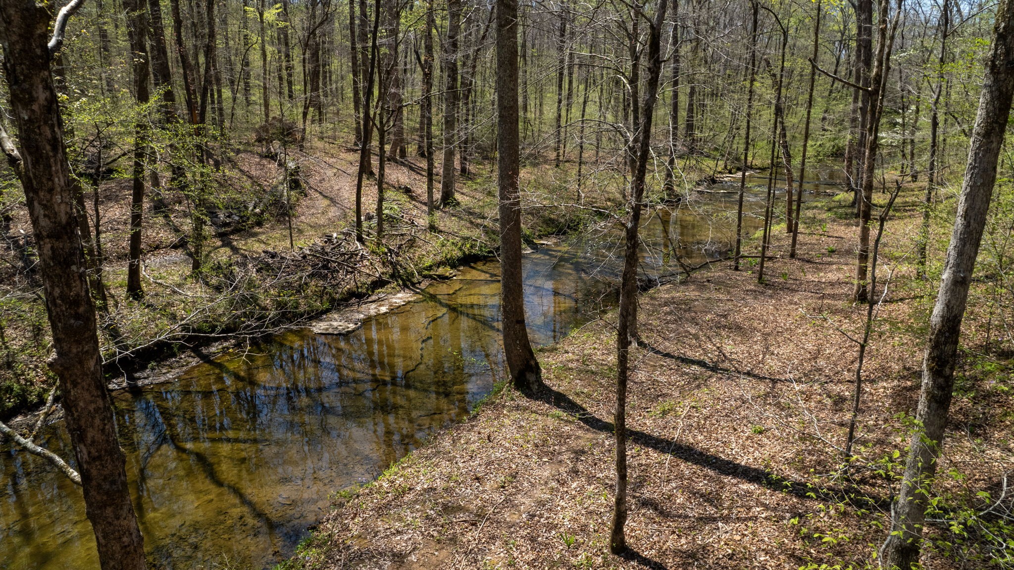 1044 Deer Ridge Road Kingston Springs, TN 37082 - Photo 6 of 37