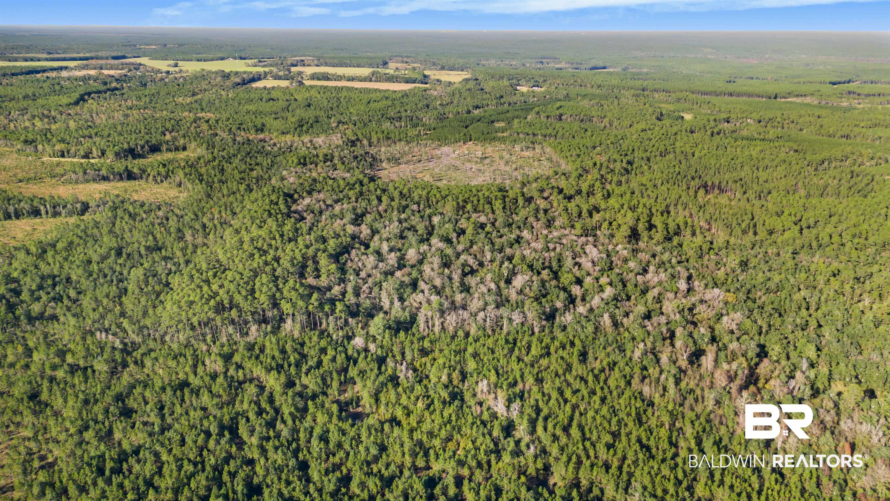 0 County Road 112 Robertsdale, AL 36567 - Photo 17 of 33 Bird's eye view