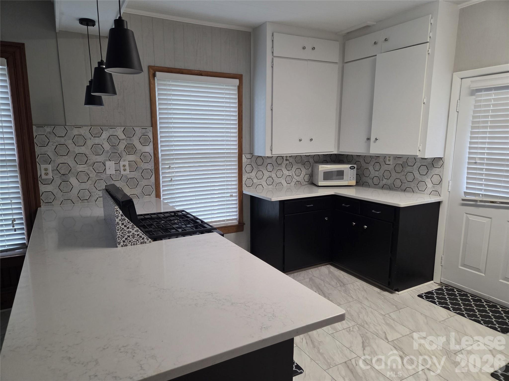 238 South Main Street Davidson, NC 28036 - Photo 3 of 20