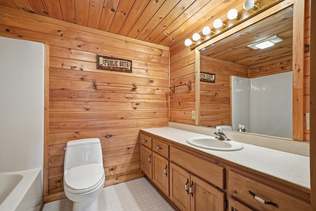 238 Cedar Ridge Road Cherry Log, GA 30522 - Photo 20 of 22 a bathroom with a toilet sink and mirror