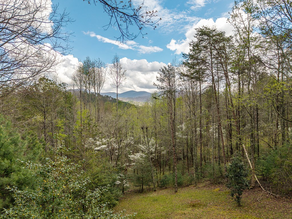 238 Cedar Ridge Road Cherry Log, GA 30522 - Photo 22 of 22 a view of lake view