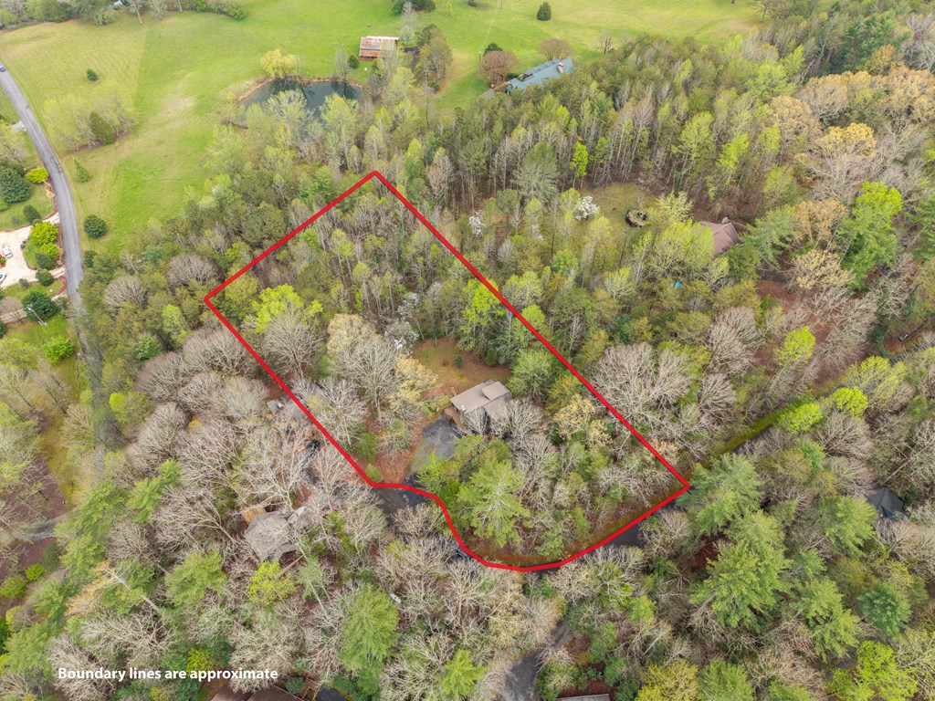 238 Cedar Ridge Road Cherry Log, GA 30522 - Photo 4 of 22