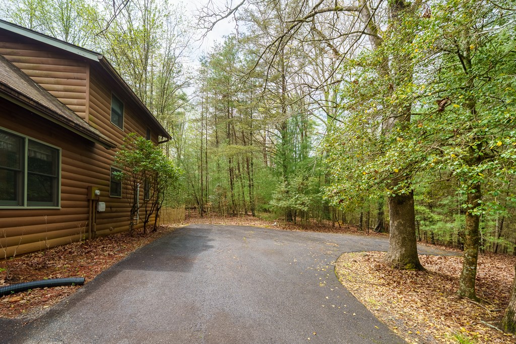 238 Cedar Ridge Road Cherry Log, GA 30522 - Photo 5 of 22 a view of a house with a yard