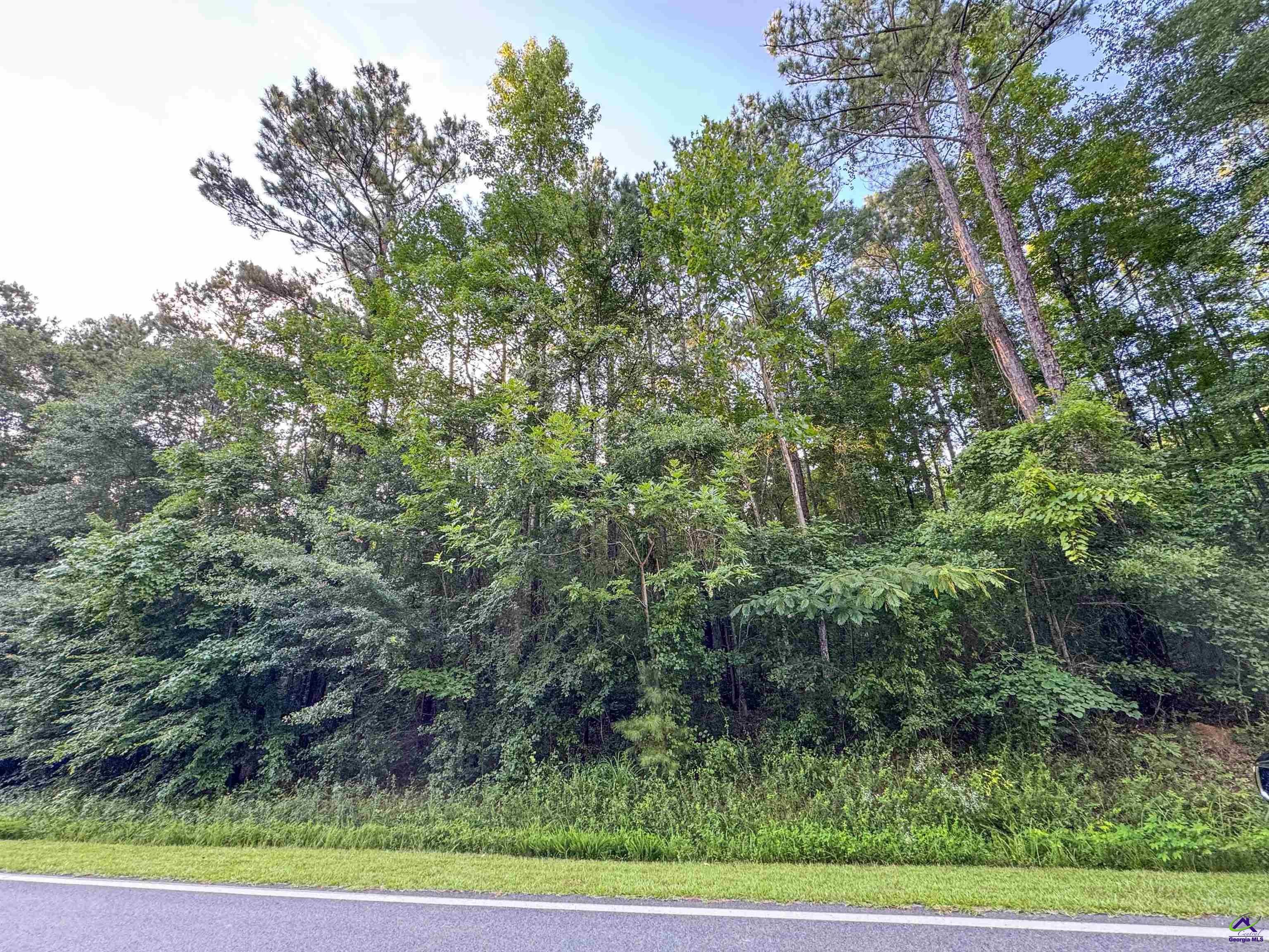 12.6-acres Hicks Road Roberta, GA 31078 - Photo 14 of 17