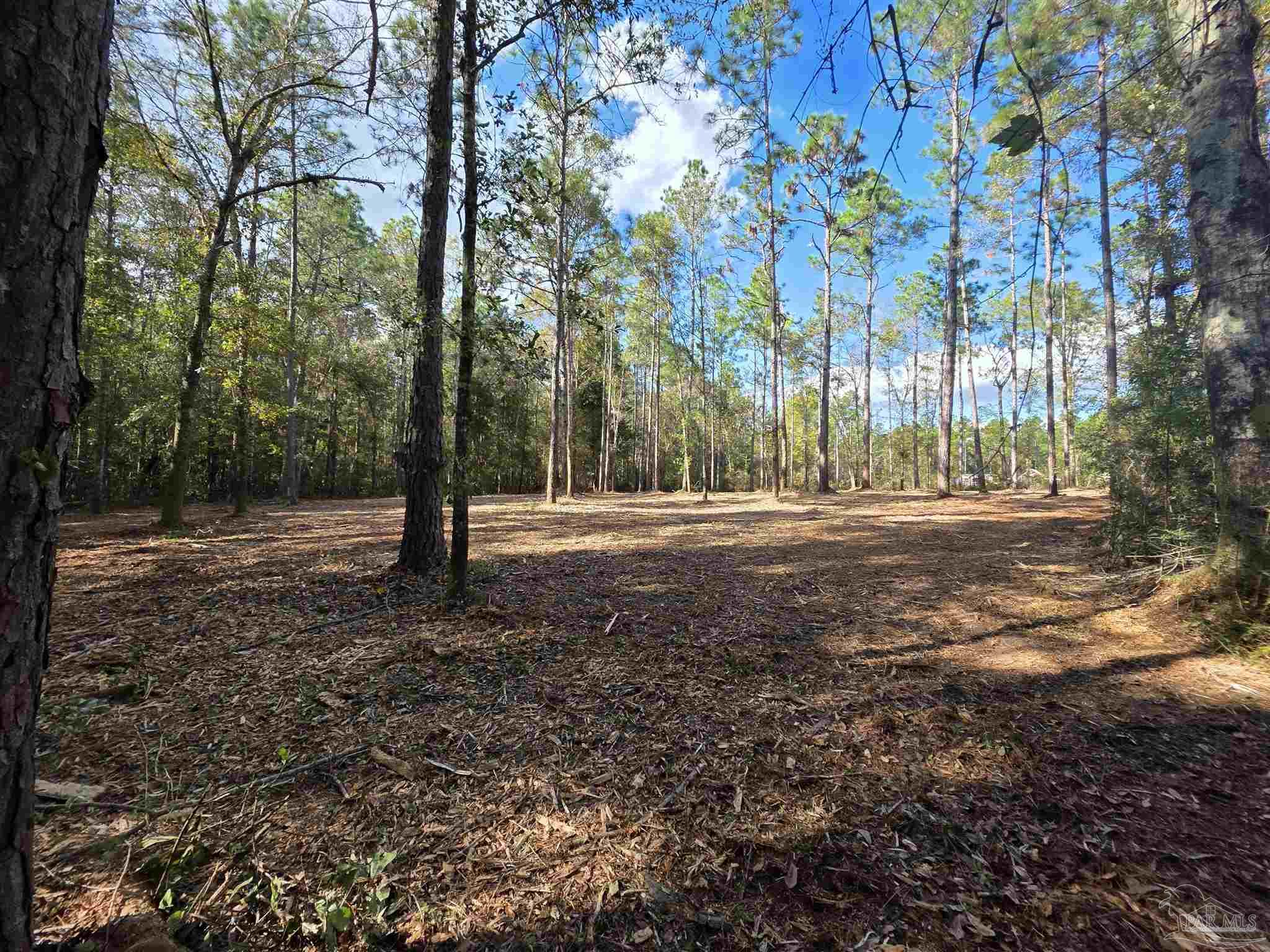 0 Magnolia Springs Road Pensacola, FL 32526 - Photo 2 of 5 Gallery Image 2