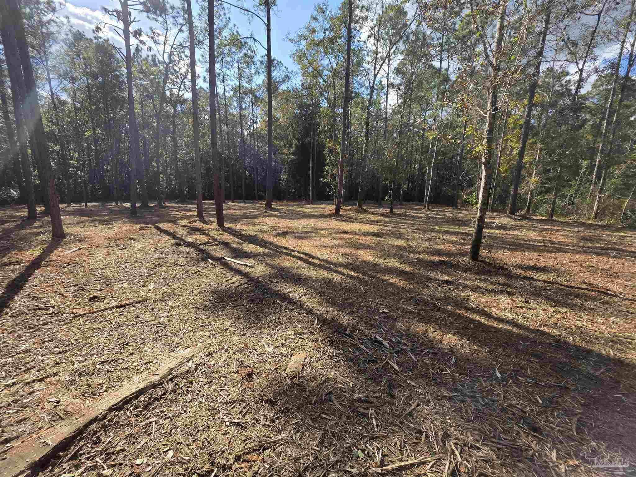 0 Magnolia Springs Road Pensacola, FL 32526 - Photo 3 of 5 Gallery Image 3