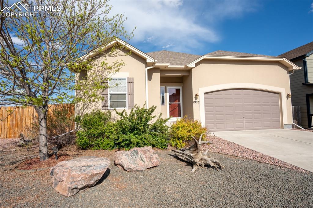 1985 Reed Grass Way Colorado Springs, CO 80915 - Photo 1 of 37 a view of backyard with potted plants and a large tree