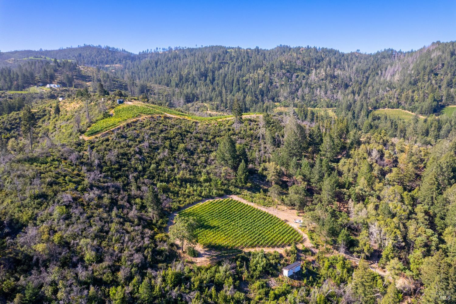 0 Diamond Mountain Road Calistoga, CA 94515 - Photo 3 of 19