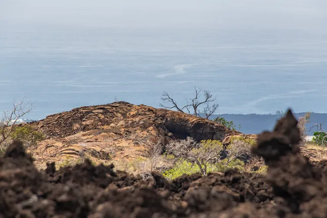 a view of a large body of water with a building in the background
