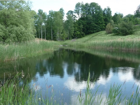3742 East Hill Road Plainfield, VT 05667 - Photo 19 of 36 Gallery Image 19