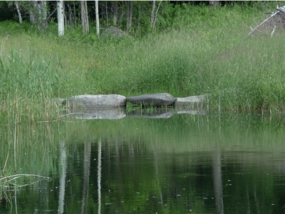 3742 East Hill Road Plainfield, VT 05667 - Photo 22 of 36 Gallery Image 22