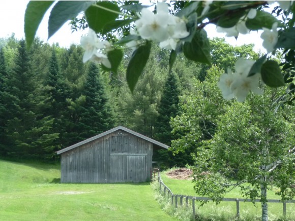 3742 East Hill Road Plainfield, VT 05667 - Photo 23 of 36 Gallery Image 23