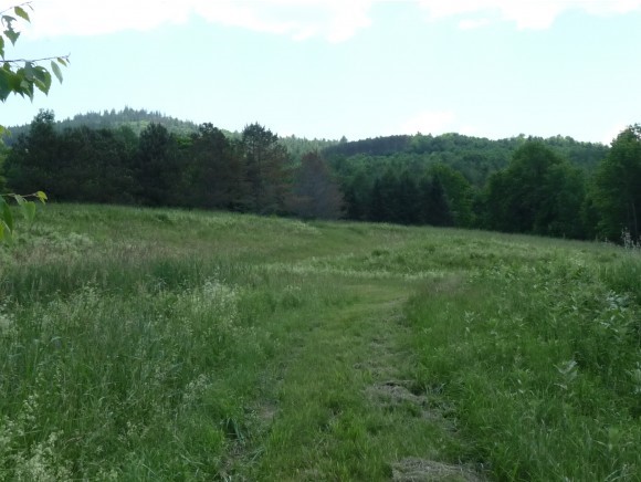 3742 East Hill Road Plainfield, VT 05667 - Photo 27 of 36 Gallery Image 27