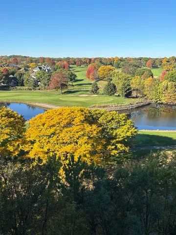 a view of a lake with a mountain