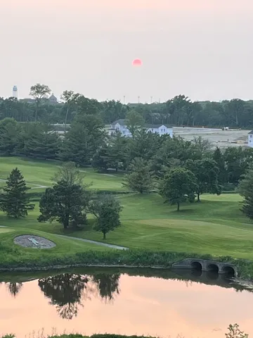 a view of a grassy field with trees