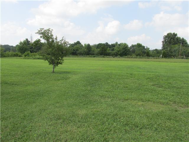 184 County Farm Road Manchester, TN 37355 - Photo 8 of 12 View from back door. Quiet and peaceful.