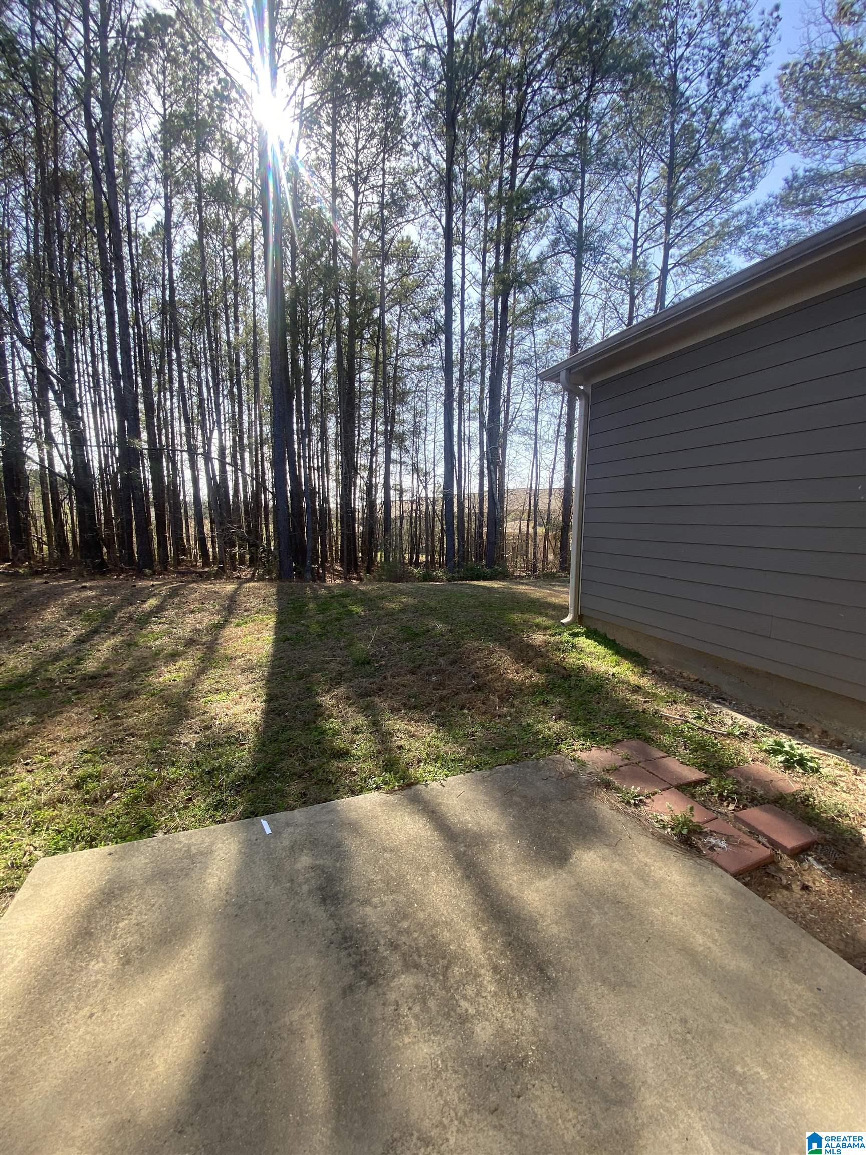 457 Polo Trace Chelsea, AL 35043 - Photo 2 of 21