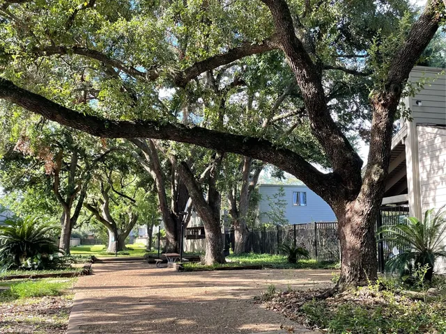 a view of street along with trees