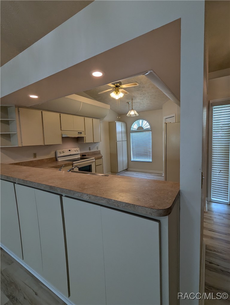 806 Windermere Boulevard Inverness, FL 34453 - Photo 5 of 23