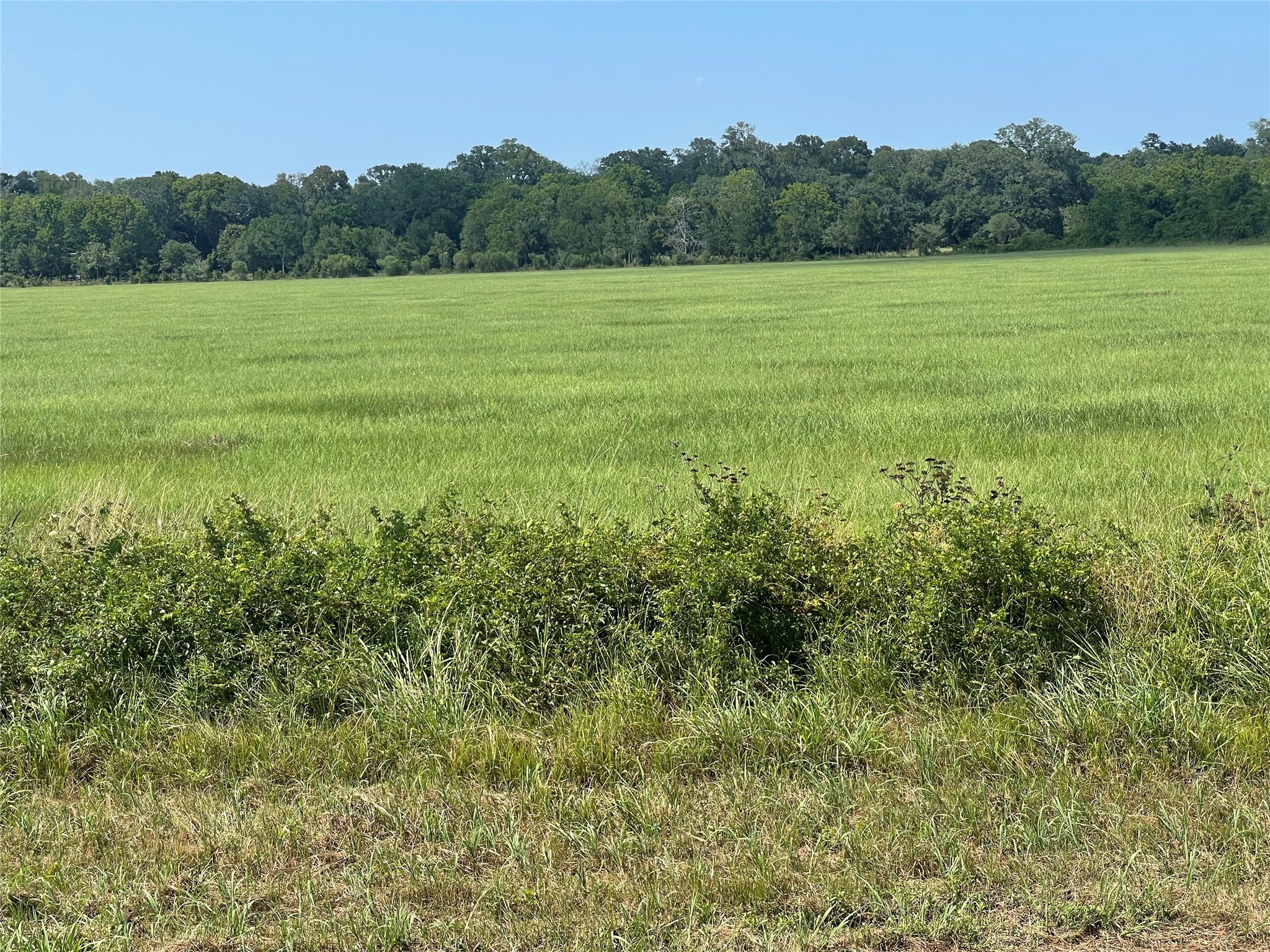 0 1462nd Damon, TX 77430 - Photo 2 of 7