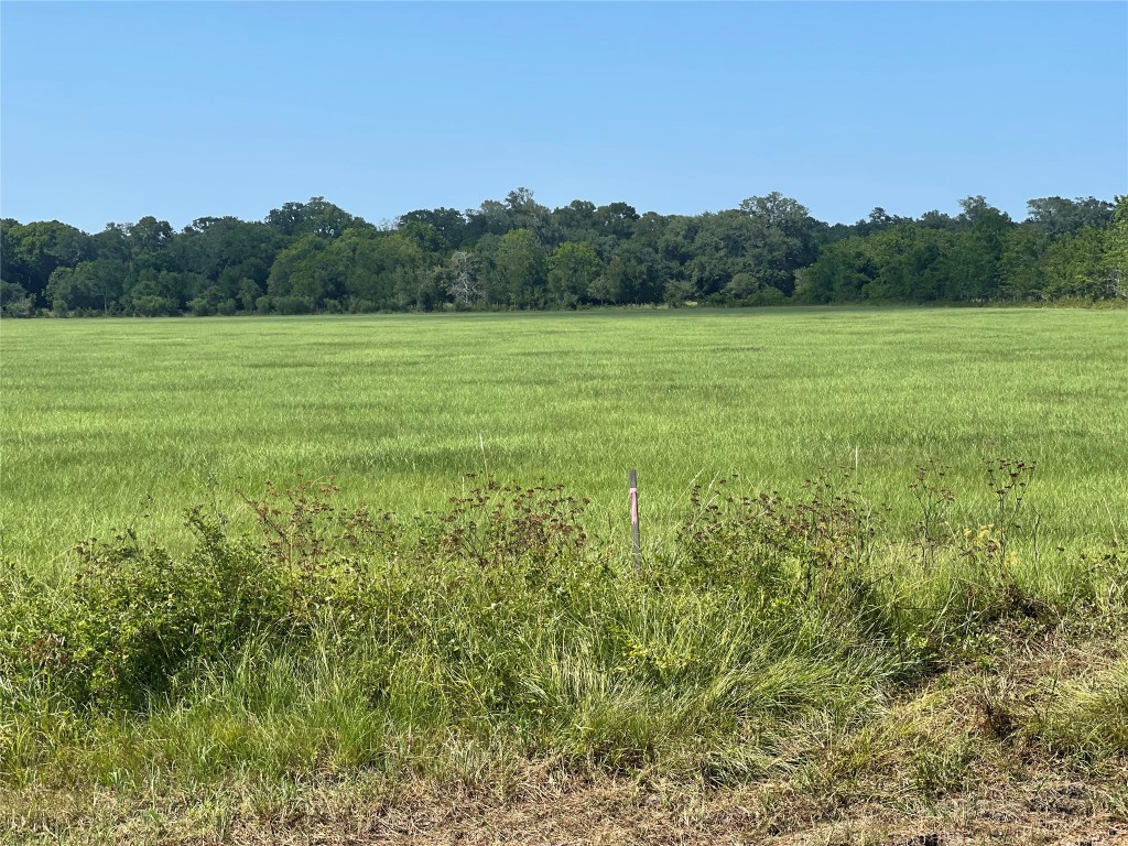 0 1462nd Damon, TX 77430 - Photo 3 of 7 a view of a green field with trees in the background