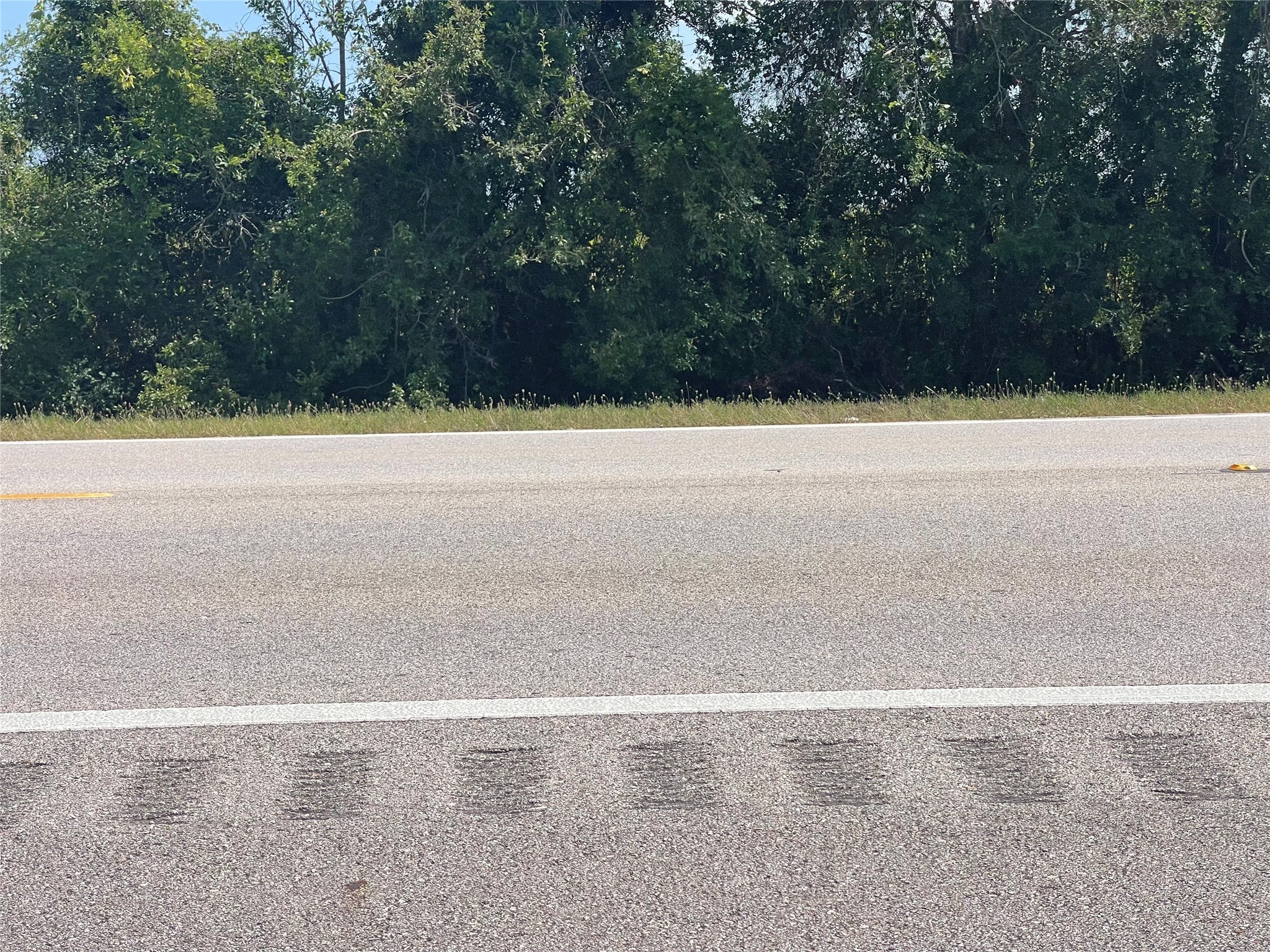 0 1462nd Damon, TX 77430 - Photo 4 of 7