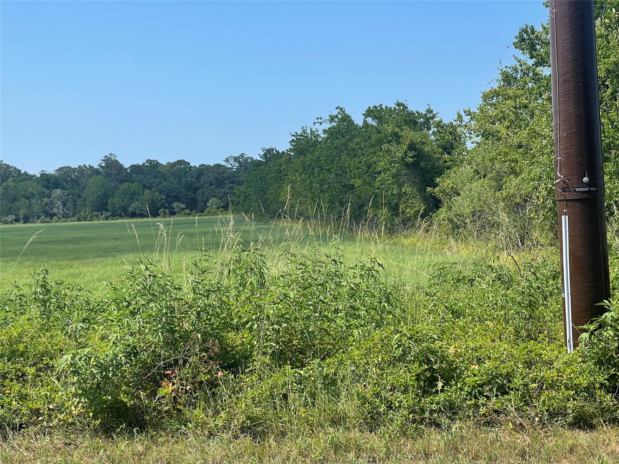 0 1462nd Damon, TX 77430 - Photo 7 of 7