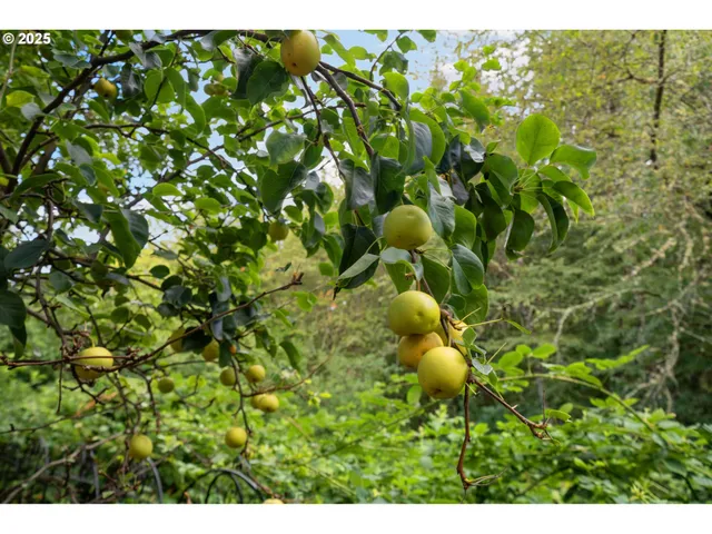 $959,000 | 7766 Southwest Bayberry Drive, Beaverton, OR 97007