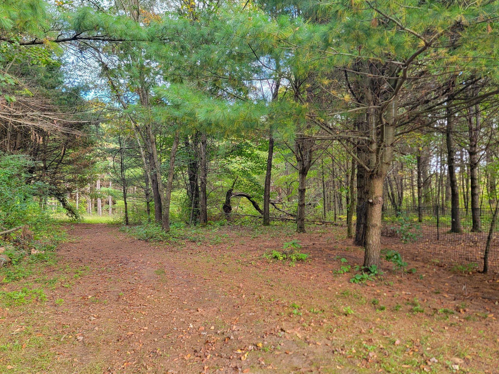 N9106 Pagel Road Iola, WI 54945 - Photo 29 of 44 Gallery Image 29