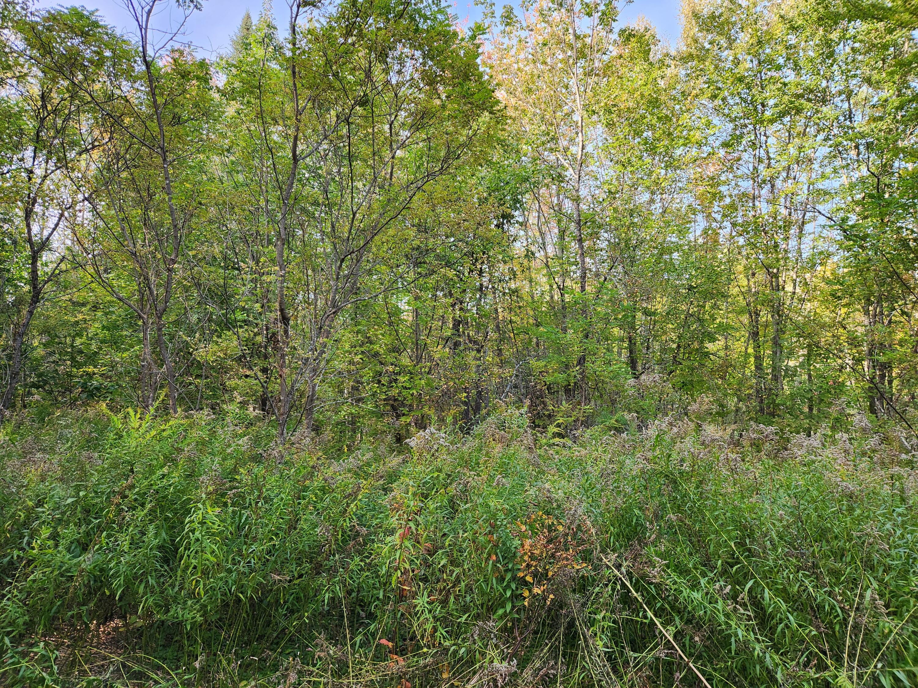 261 Phillips Road Weld, ME 04285 - Photo 14 of 16 20230926_163351