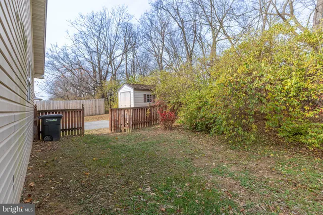 a view of backyard with trees