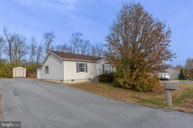 a view of a house with large trees next to a road